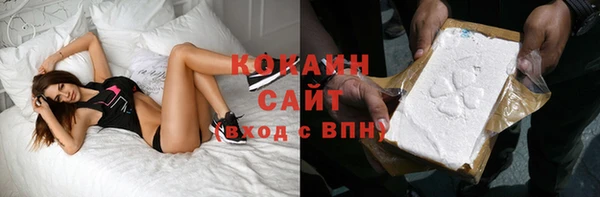 a pvp Бородино