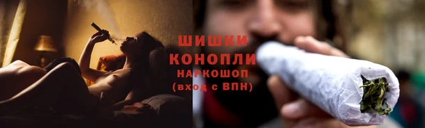 a pvp Бородино