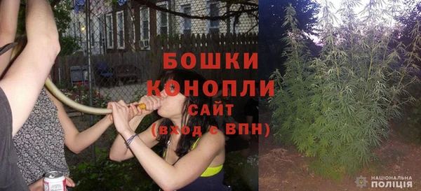 a pvp Бородино