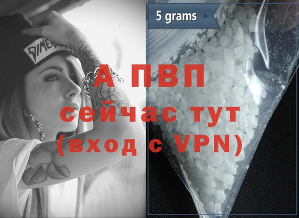 a pvp Бородино